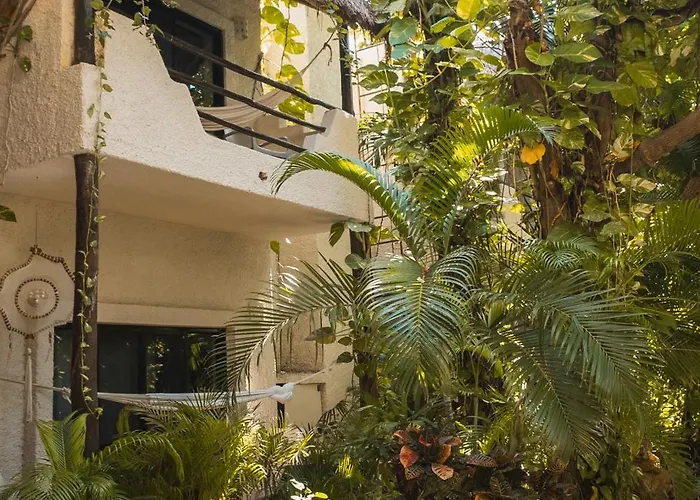 Casa Colibri 4*