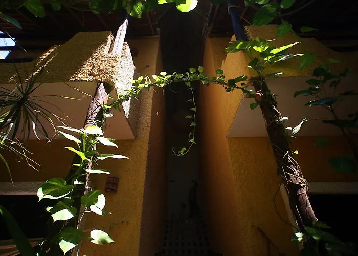 Hotel Casa Colibri