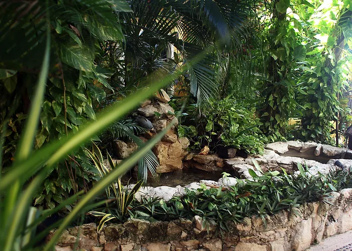 Hotel Casa Colibri