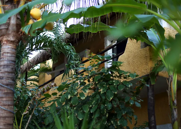 Hotel Casa Colibri Playa del Carmen