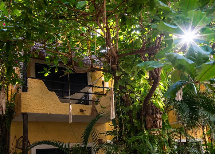 Casa Colibri Playa del Carmen