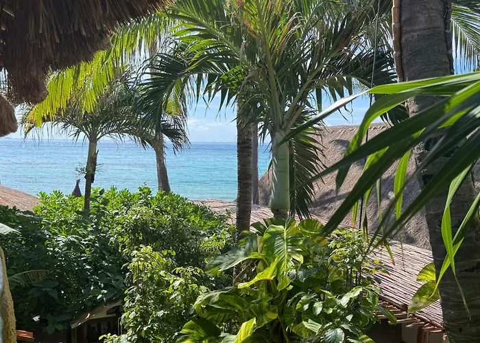 Hotel Casa Colibri 4*
