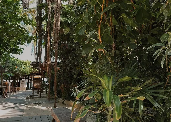 Hotel Casa Colibri